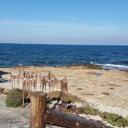 Elegance 3 * Дения